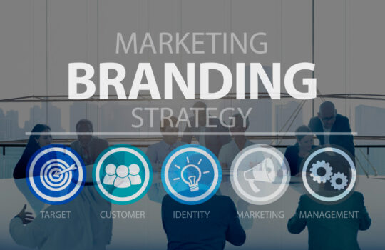 Brand Marketing Metrics