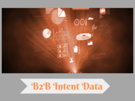 B2B Intent Data